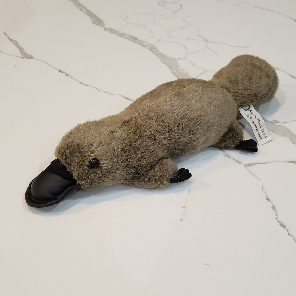 Platypus plush toy from "Aussie Bush Toys" in Sydney, Australia
